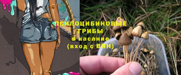 гидра Армянск